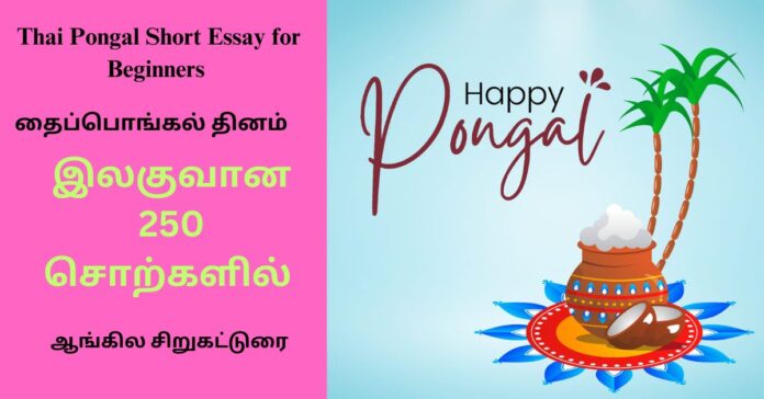 Thai Pongal Day  English Short Essay கல்வி