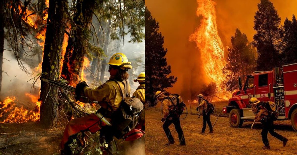 Forest Fire in US  சிறுவர்களுக்கான உலக செய்திகள்